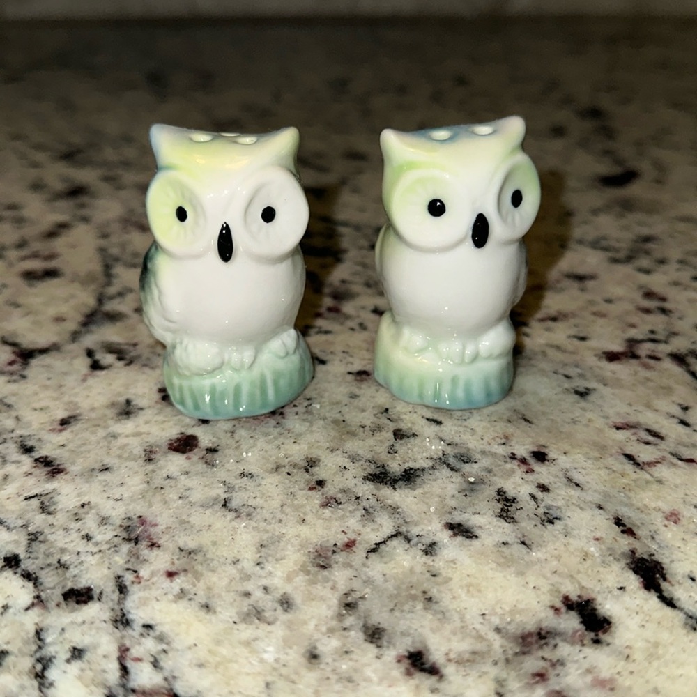 MINI WINTER BLUE OWL CB SALT AND PEPPER SHAKER SET